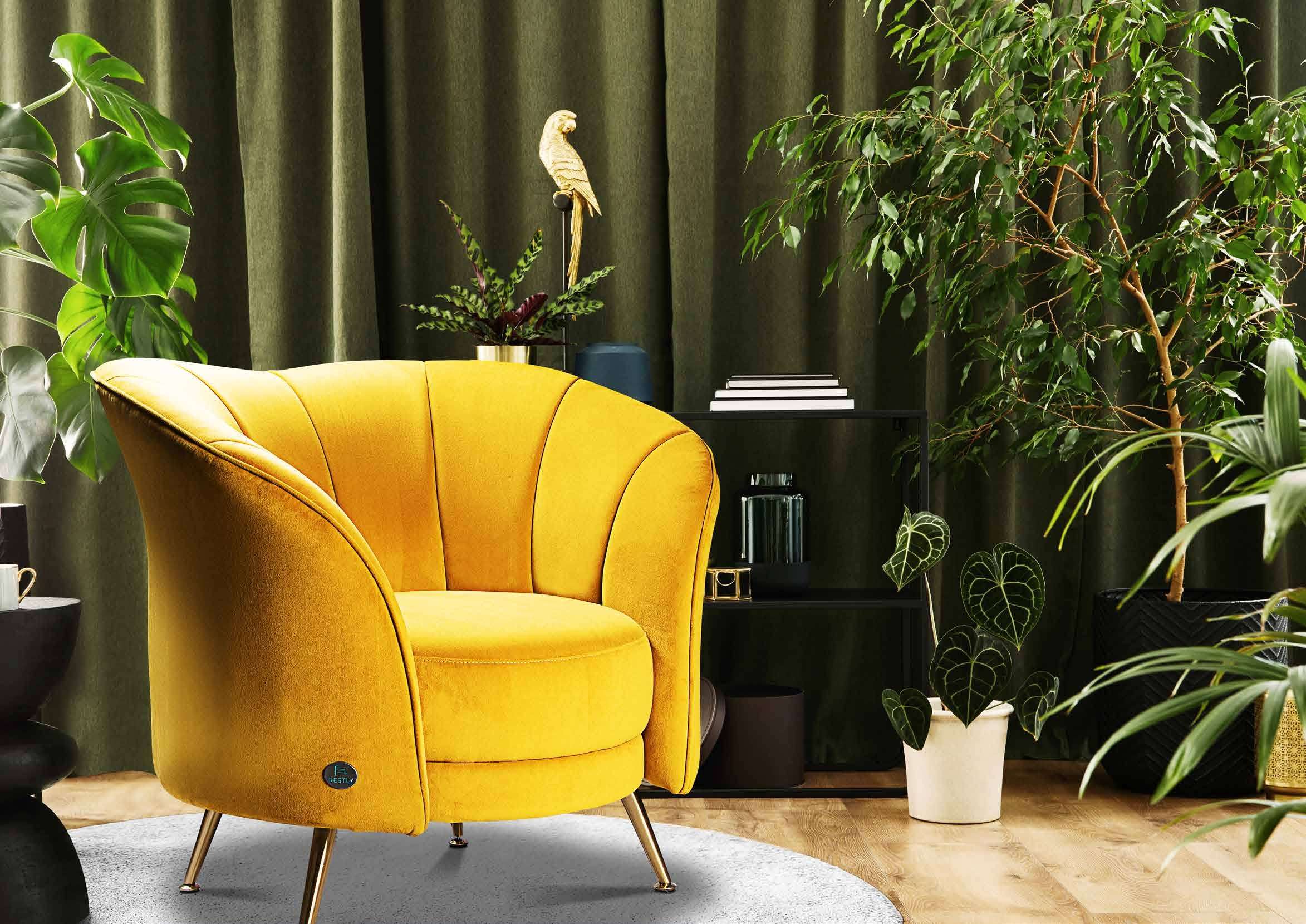 Living Room Interior European-Inspired Design